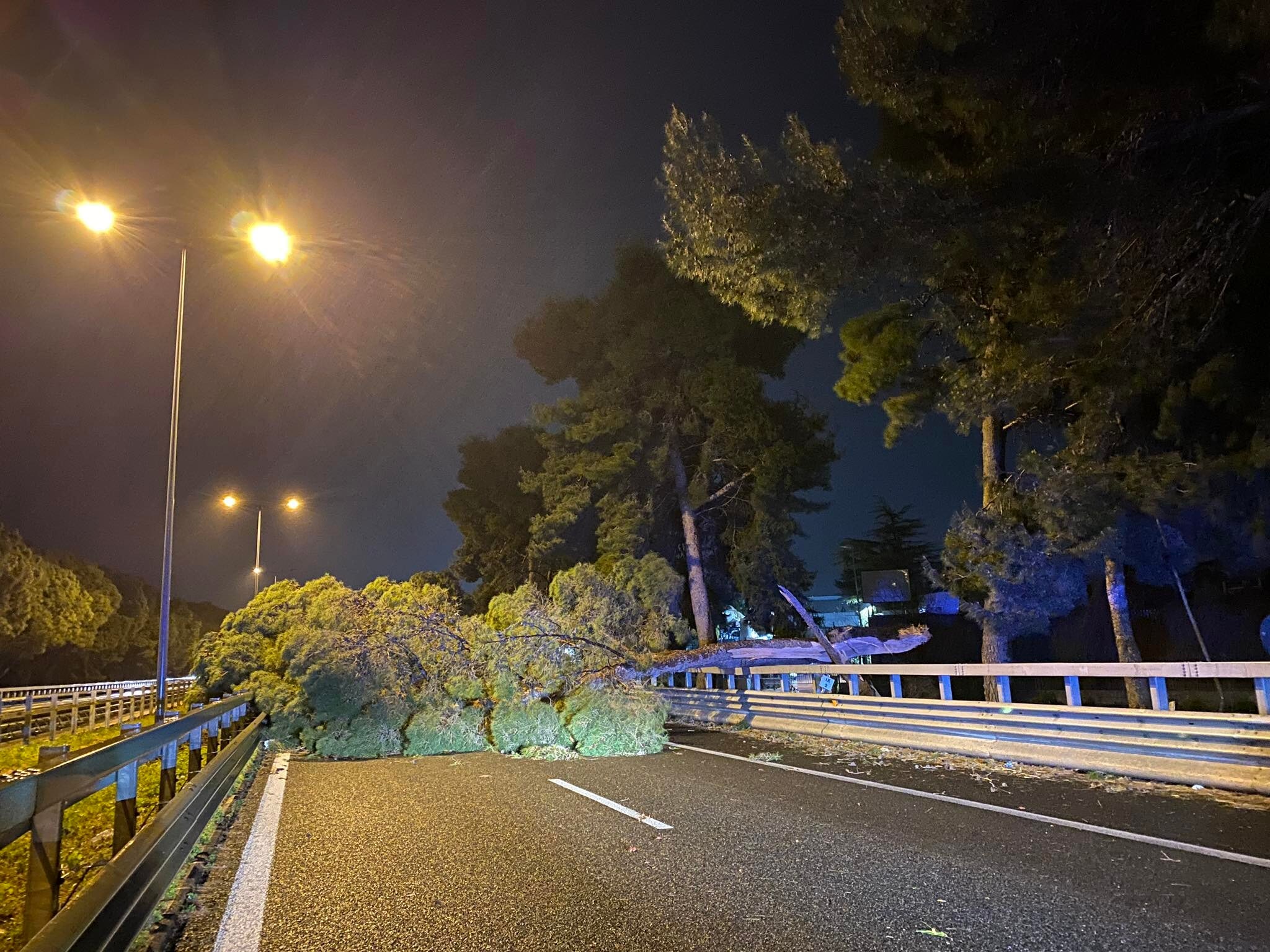 Albero caduto autostrada Palermo Catania 30 31 marzo 2022 foto Samuele Michele Cascino-2